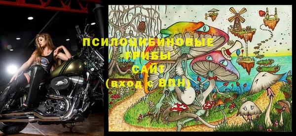 кокаин VHQ Гусев