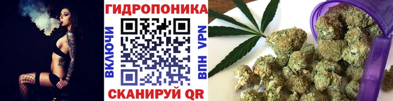 МЕГА ТОР  Красный Кут  Шишки марихуана SATIVA & INDICA 
